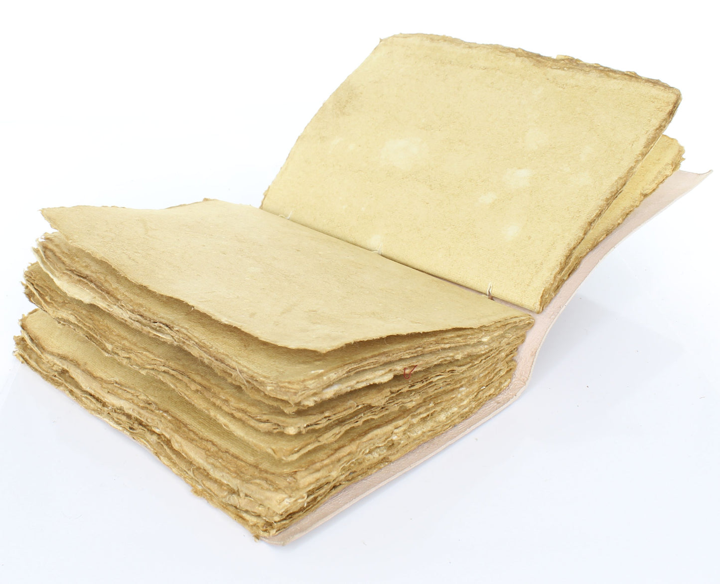 Leaf Embossed Leather Journal with Tussle Closure, each