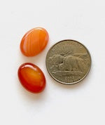 18mm Natural Blood Orange Striated Agate Gemstone Cabochons, SemiPrecious Oval Cab, Flat Back, 18x13mm, pack of 6