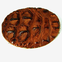 3.5in Extra Fancy Crocodile Skin Leather -Brown Oval Insert for Belt Buckles, Pkg/2