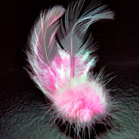 Pink Feather-n-Fur Brooch, ea