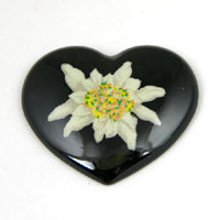 31x38mm Black Edelweiss Heart Cabochon, Vintage German Mfg, ea