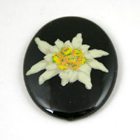 30x40mm Black Edelweiss Cabochon, Vintage German Mfg, ea