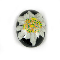18mm Black Edelweiss Oval Cabochon, 6 pack
