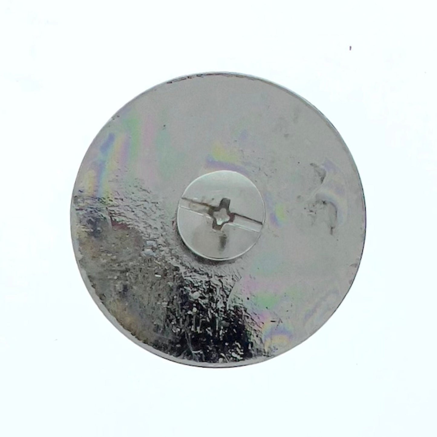 Duck Concho, antique silver, antique gold, screw on back attachment, Each