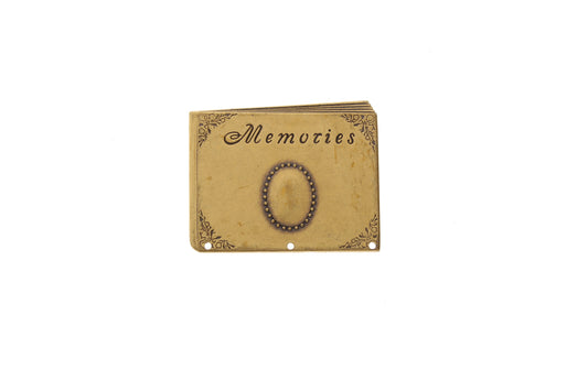 Antique Gold, Classic Silver Finish Memories Album w/3 holes, pk/6