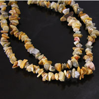 8x10mm Crazy Lace Agate Bead Chips, 36 inch Strand