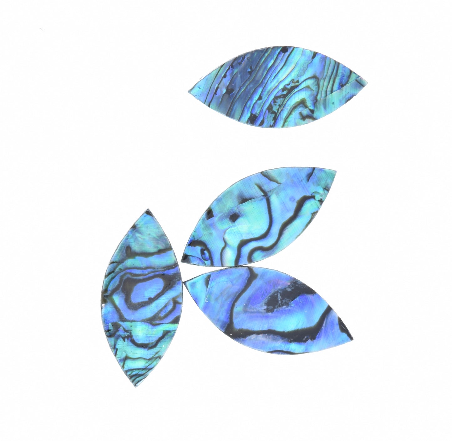 Shell drops , 22x10 Paua Shell Marquis Drop, package of 12