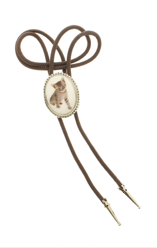 48mm x 36mm Resin Kitten Portrait Bolo, made in USA, each