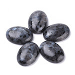 25mm x 18mm Natural Fossil Gemstone Cabochons, Chrysanthemum Pattern, Tan Brown Taupe, Flat Back, 1 each