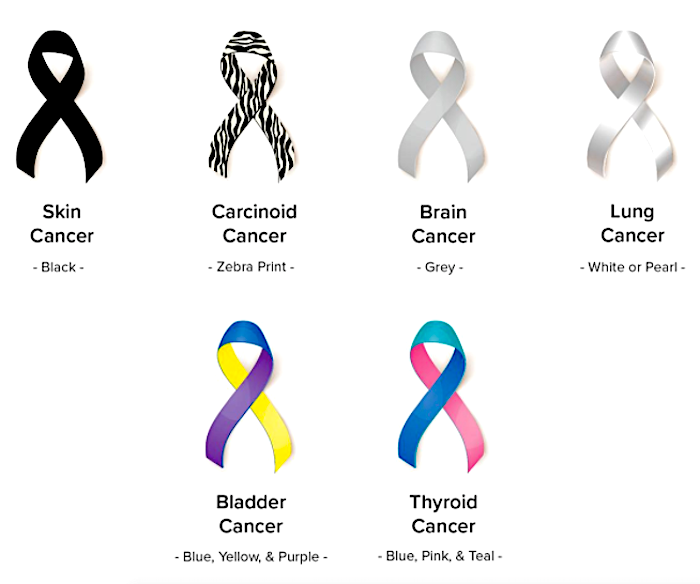 Breast Cancer Awareness "Find the Cure" Silver-n-Suede Charm Bracelet ea