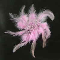 Brooch Feather-n-Crystal Brooch, ea