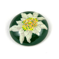 20mm Green Edelweiss Round Cabochon, Vintage German Mfg, ea