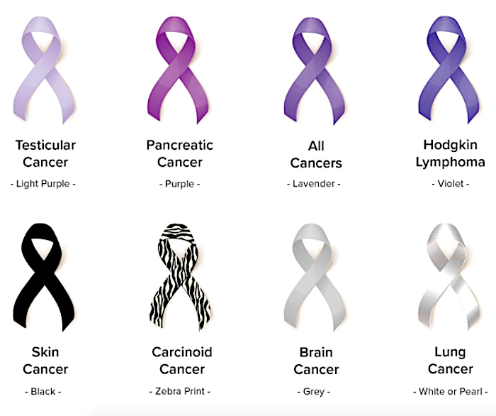 Breast Cancer Awareness "Find the Cure" Silver-n-Suede Charm Bracelet ea