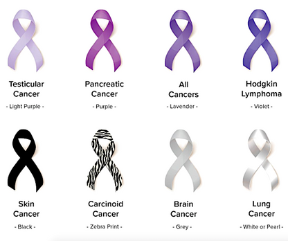 Breast Cancer Awareness "Find the Cure" Silver-n-Suede Charm Bracelet ea