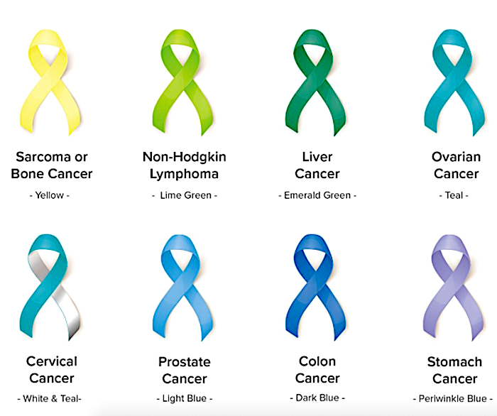 Breast Cancer Awareness "Find the Cure" Silver-n-Suede Charm Bracelet ea