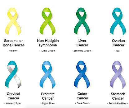 Breast Cancer Awareness "Find the Cure" Silver-n-Suede Charm Bracelet ea