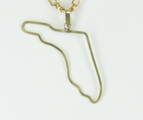 Florida State wire necklace, brass Gold pendant, 18" chain, Each
