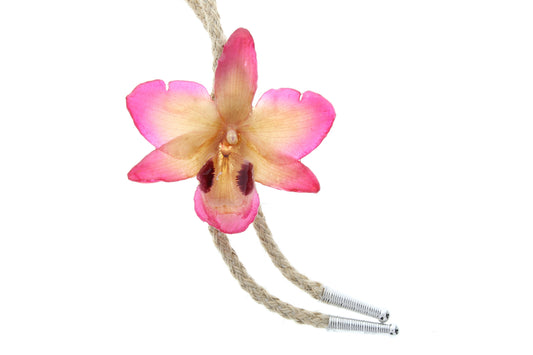 Preserved Pink Yellow Orchid 36" Bolo Tie, Choose Black, natural jute, or white cord, made in USA, 1 each