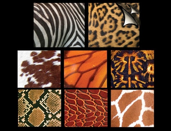 Animal Print Altered Art Graphic Paper Pack, 3"x4", 24 sheets