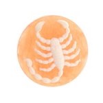 43mm Vintage Zodiac Scorpio Scorpion, Cameo Cabochon, orange acrylic, Pack of 2