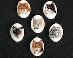 Cat Cameo on chalk white base, 18x13mm, Siamese, Grey Tabby, Yellow Tabby, Gray Persian, Each