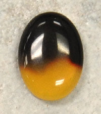 14x10mm Tortoise Oval Cabochon, pack of 4