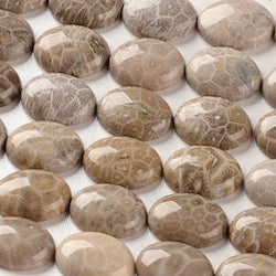 25mm x 18mm Natural Fossil Gemstone Cabochons, Chrysanthemum Pattern, Tan Brown Taupe, Flat Back, 1 each