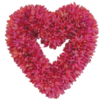 9x9 in Pink Heart Cotton Shells Wreath